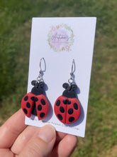 Load and play video in Gallery viewer, Ladybug Hooks
